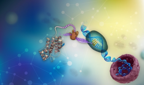 Systems Biology and genomics of gene expression | Pilpel Lab Systems Biology and genomics of gene expression | Pilpel Lab